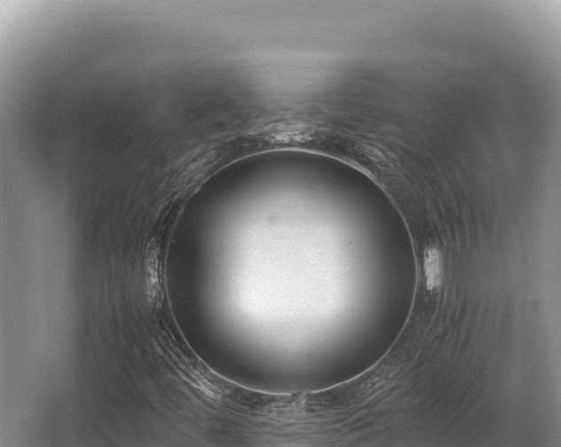 X0000062851444200601171459