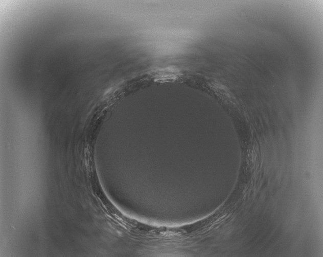 X0000062851445200601171459