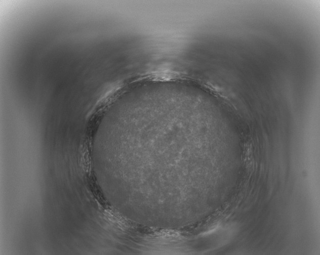 X0000062851446200601171459