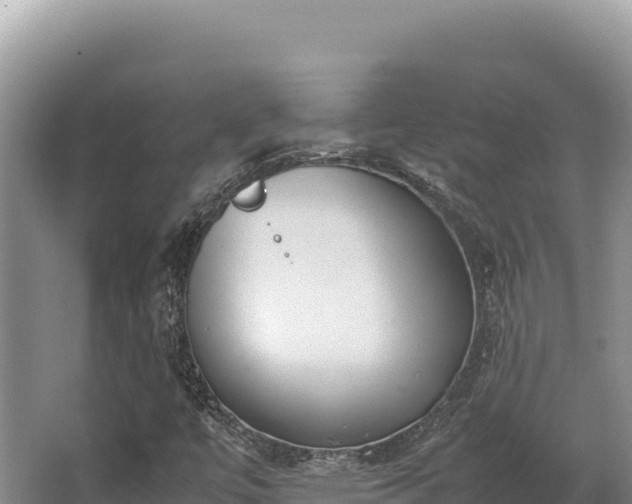 X0000062851447200601171459