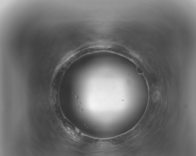 X0000062851448200601171459