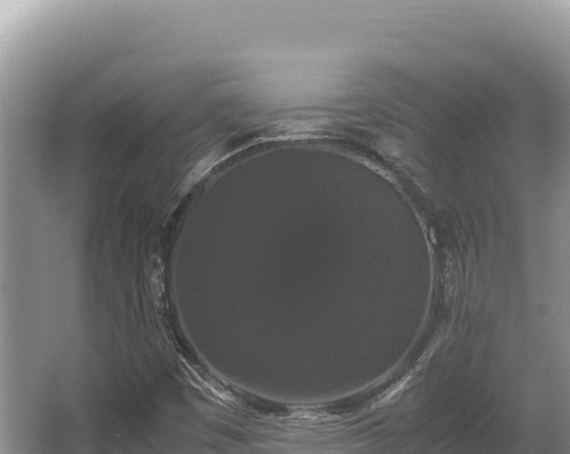 X0000062851449200601171459