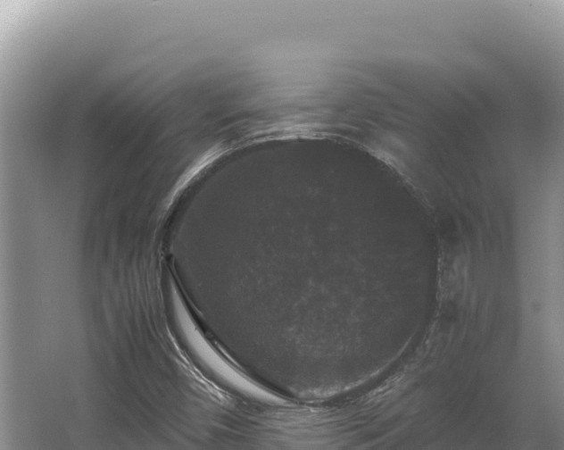 X0000062851450200601171459