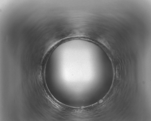 X0000062851452200601171459