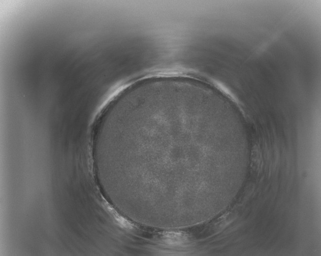 X0000062851456200601171459