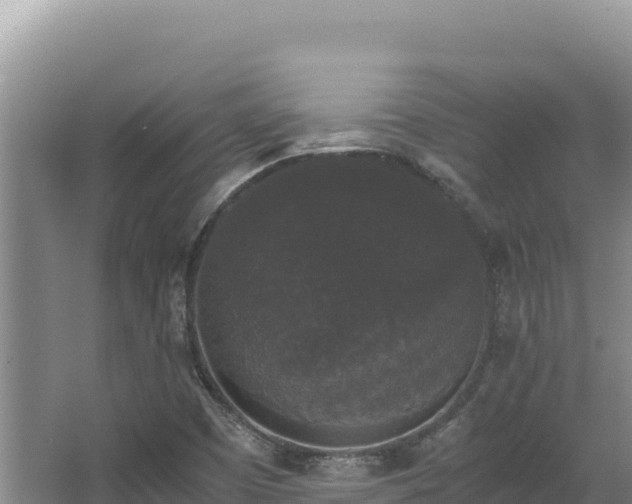 X0000062851457200601171459