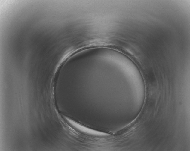 X0000062851459200601171458