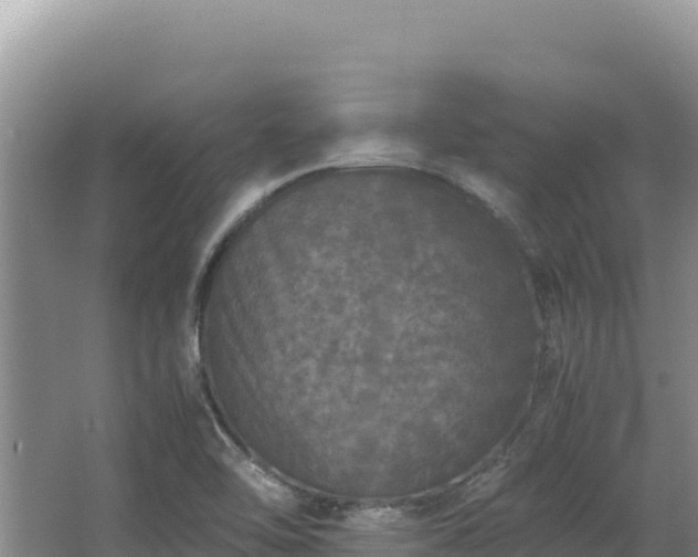 X0000062851462200601171458