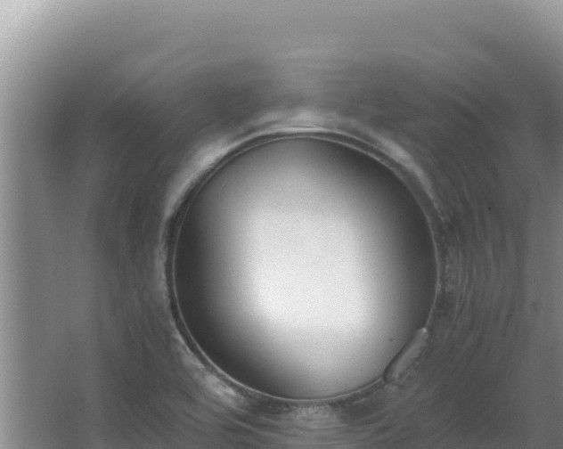 X0000062851464200601171458