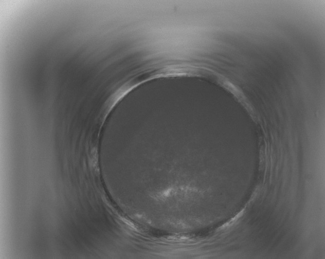 X0000062851465200601171458