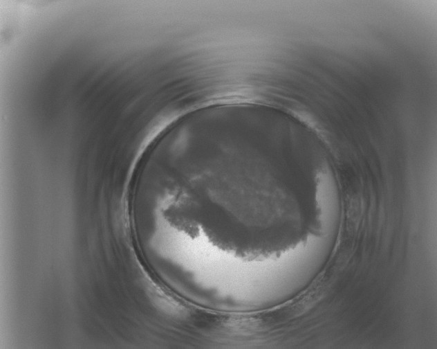 X0000062851466200601171458