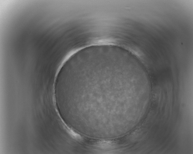 X0000062851470200601171458