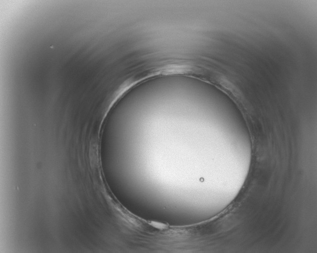 X0000062851473200601171458