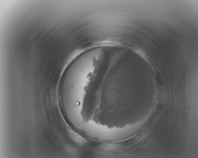 X0000062851474200601171458