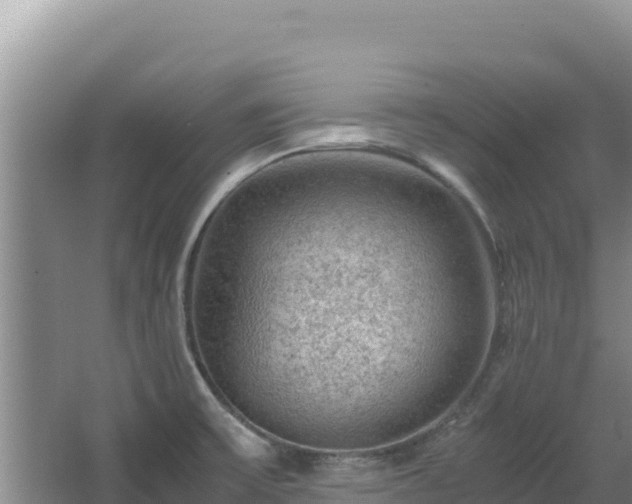 X0000062851475200601171458