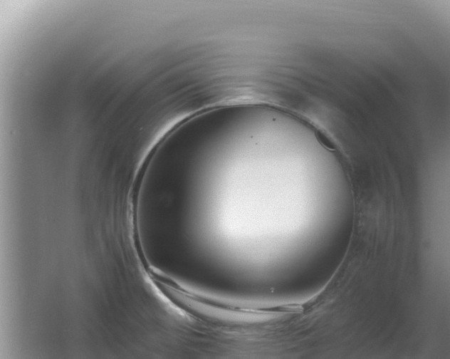 X0000062851476200601171458