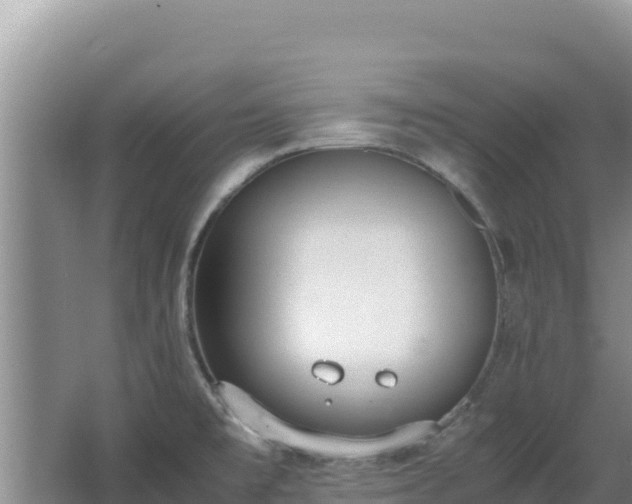 X0000062851477200601171458