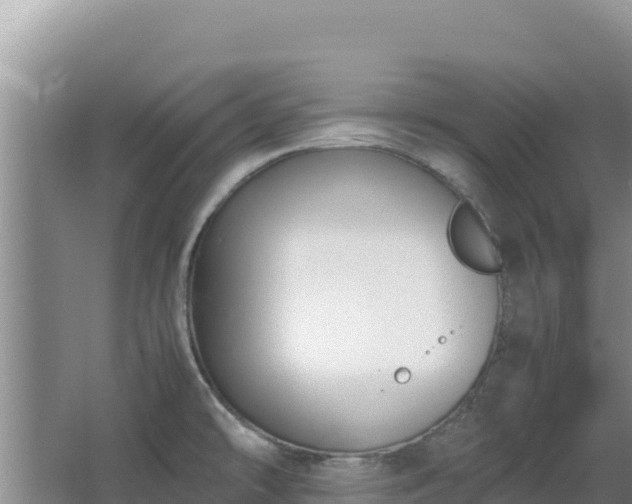 X0000062851478200601171458