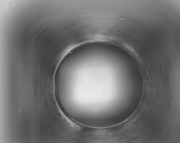 X0000062851479200601171458