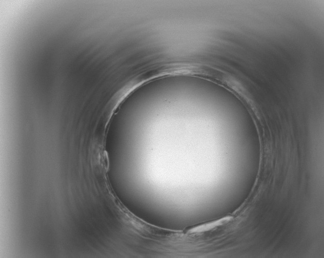 X0000062851481200601171458