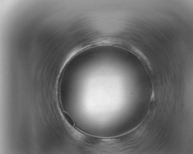 X0000062851483200601171458