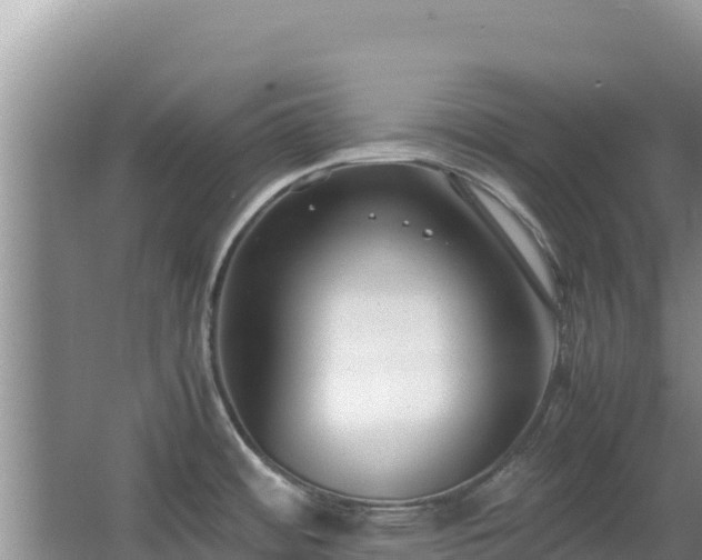 X0000062851484200601171458