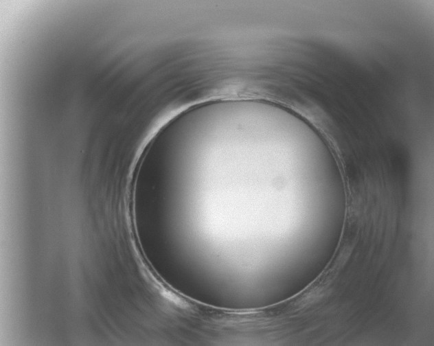 X0000062851486200601171458