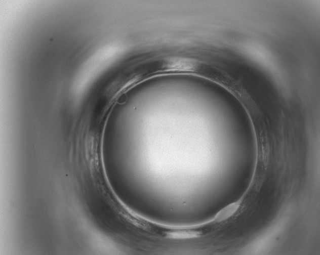 X0000062851487200601171458