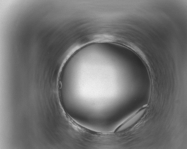 X0000062851488200601171458