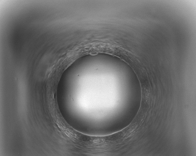 X0000062851489200601171457