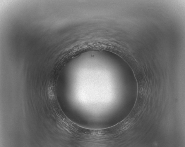 X0000062851490200601171457