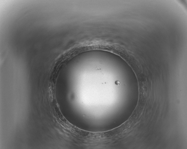 X0000062851493200601171457