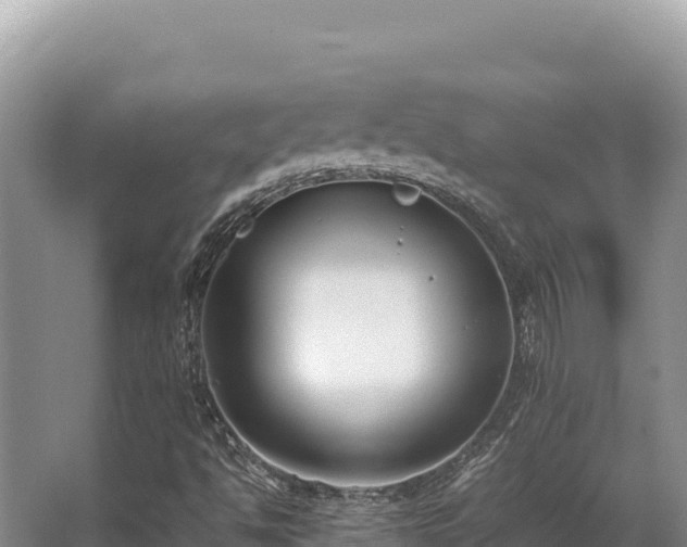 X0000062851494200601171457