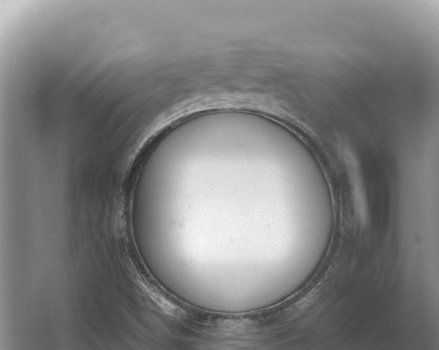 X0000062851498200601171457