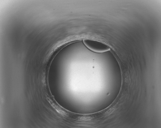 X0000062851499200601171457