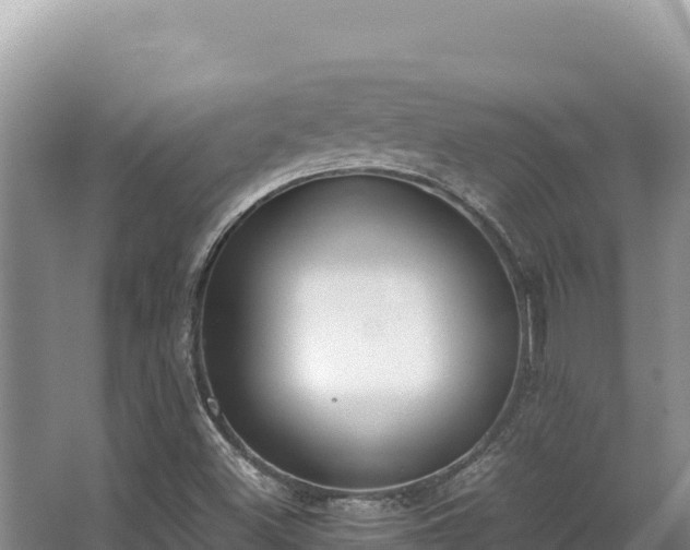 X0000062851500200601171457