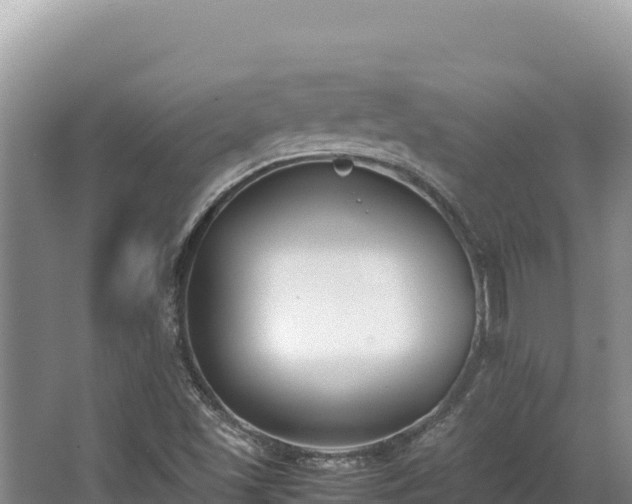 X0000062851501200601171457