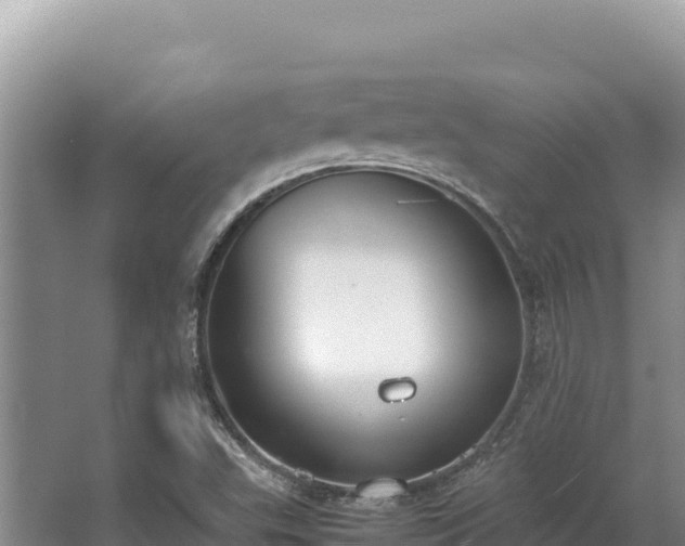 X0000062851503200601171457