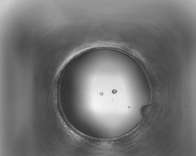 X0000062851504200601171457