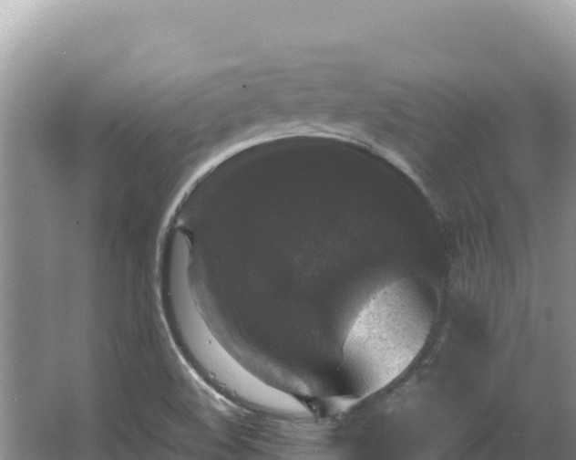 X0000062851508200601171458