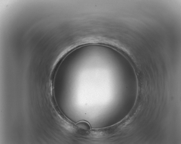 X0000062851509200601171458