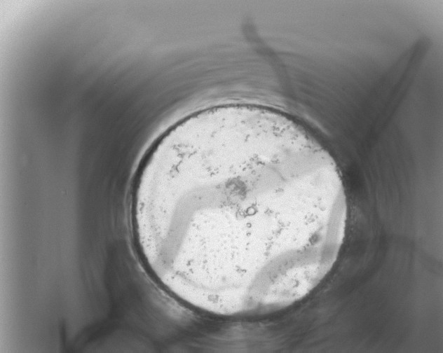 X0000062851514200601171458