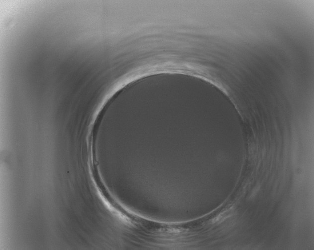 X0000062851515200601171458