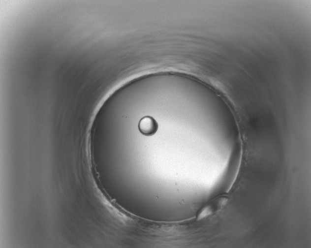 X0000062851516200601171458