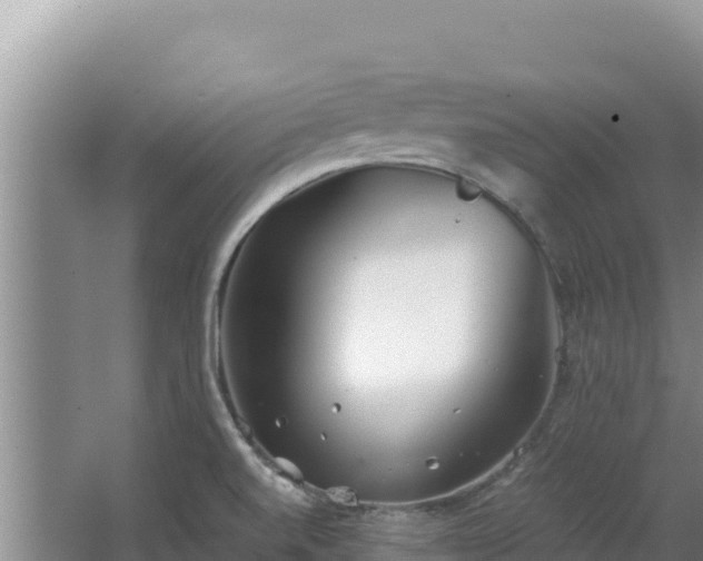 X0000062851520200601171458