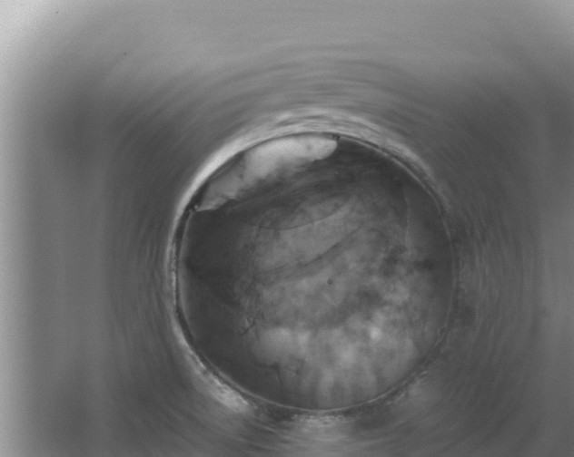 X0000062851522200601171458