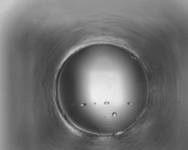 X0000062851523200601171458