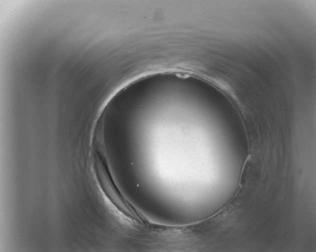 X0000062851524200601171458