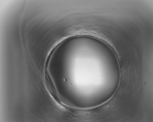 X0000062851525200601171458