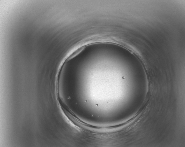 X0000062851528200601171458